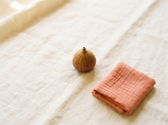 A fig, the size of a baby at week 11