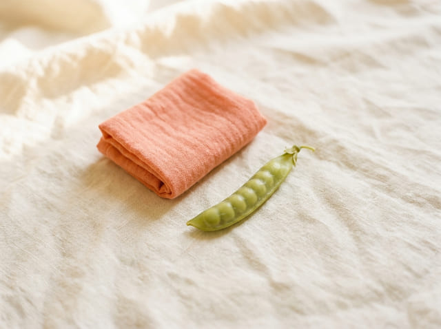 A pea pod, the size of a baby at week 13