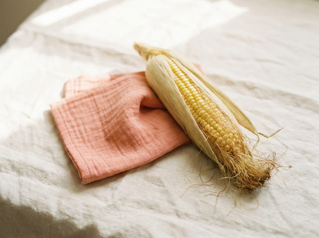 A ear of corn, the size of a baby at week 24