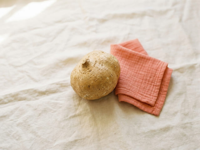 A jicama, the size of a baby at week 32