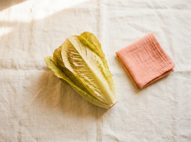 A romaine lettuce, the size of a baby at week 36