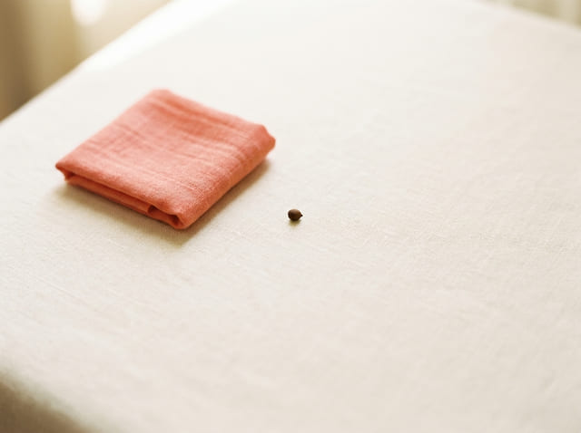 A poppy seed, the size of a baby at week 4