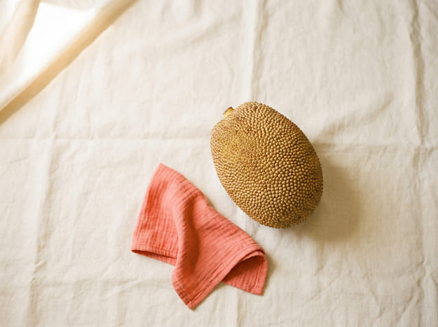 A jackfruit, the size of a baby at week 42