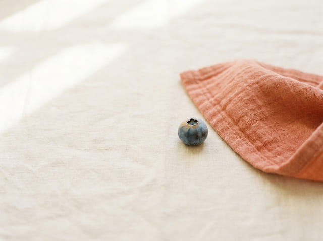 A blueberry, the size of a baby at week 7