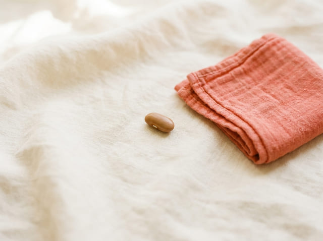 A kidney bean, the size of a baby at week 8